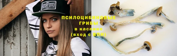 крисы Алексин