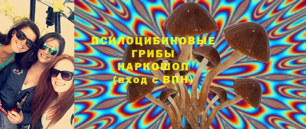 крисы Алексин
