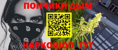 МДПВ Краснознаменск