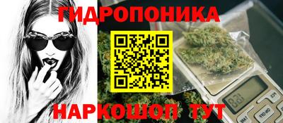 сатива Коммунар
