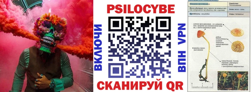 Галлюциногенные грибы MAGIC MUSHROOMS  закладки  Сунжа 
