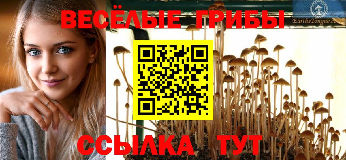 Псилоцибиновые грибы Psilocybine cubensis  Вход с VPN  Галлюциногенные грибы мухоморы  Сунжа 